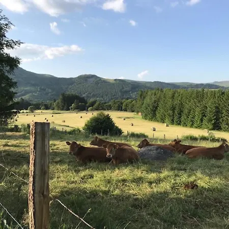 Mont-dore: 2 Pieces Proche Thermes, Pratique Pour 4 - Fr-1-608-112 Le Mont-Dore