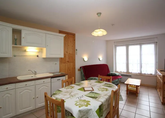 Apartamento Mont-dore: 2 Pieces Proche Thermes, Pratique Pour 4 - Fr-1-608-112 *