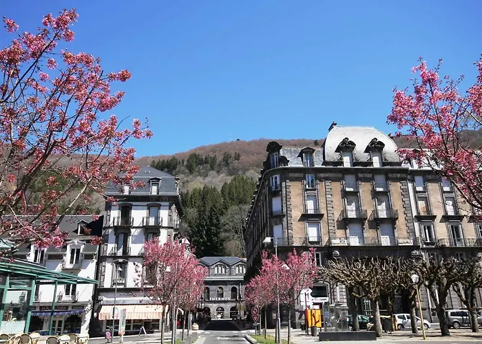 Mont-dore: 2 Pieces Proche Thermes, Pratique Pour 4 - Fr-1-608-112 * Mont-Dore