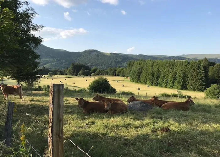 Mont-dore: 2 Pieces Proche Thermes, Pratique Pour 4 - Fr-1-608-112 Mont-Dore